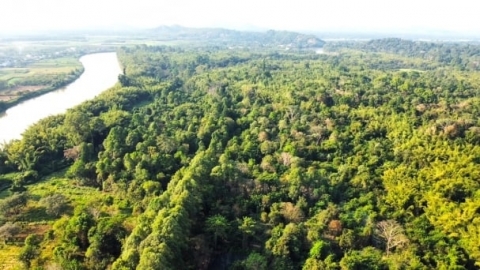 Cat Tien National Park officially achieves the title of IUCN Green List